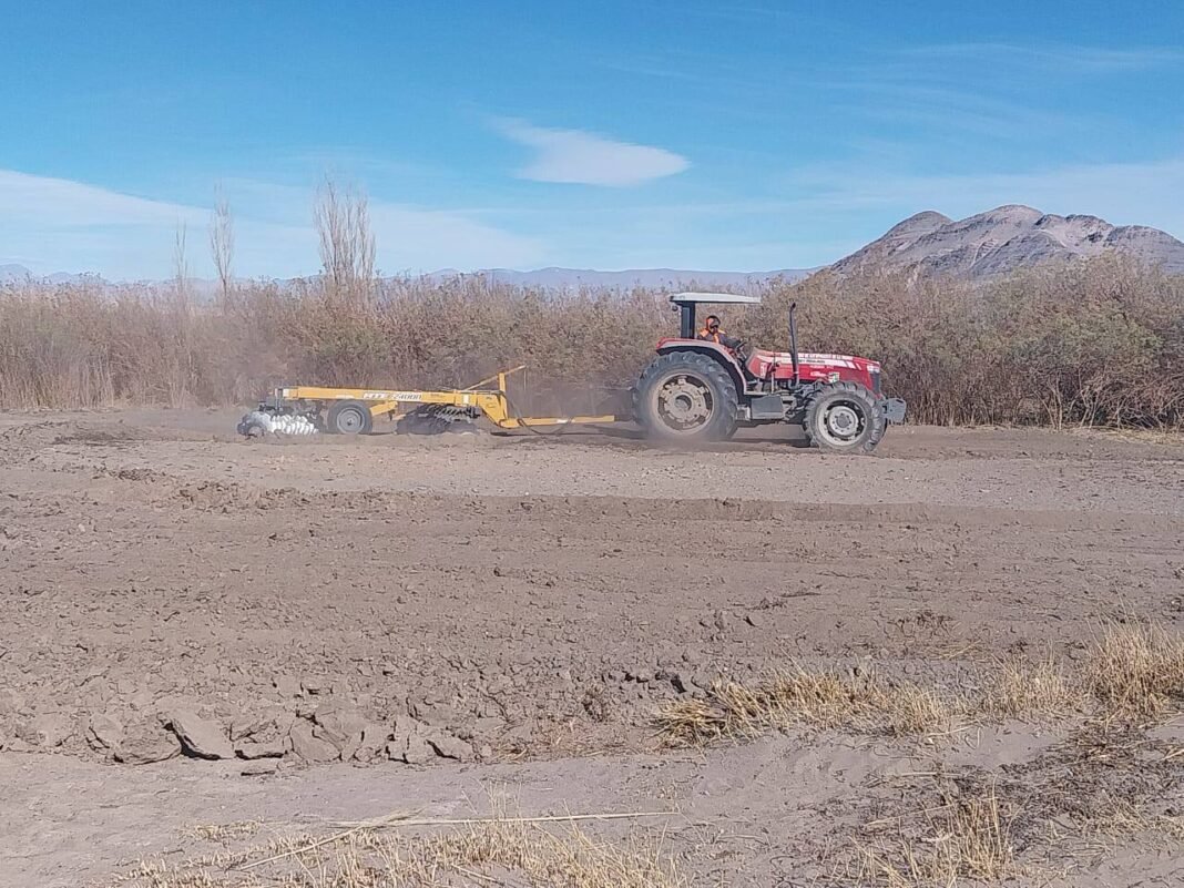 Acompañando a nuestros productores