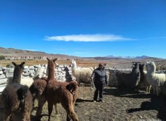 UN ACOMPAÑAMIENTO A NUESTROS PRODUCTORES GANADEROS
